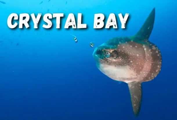 Crystal Bay